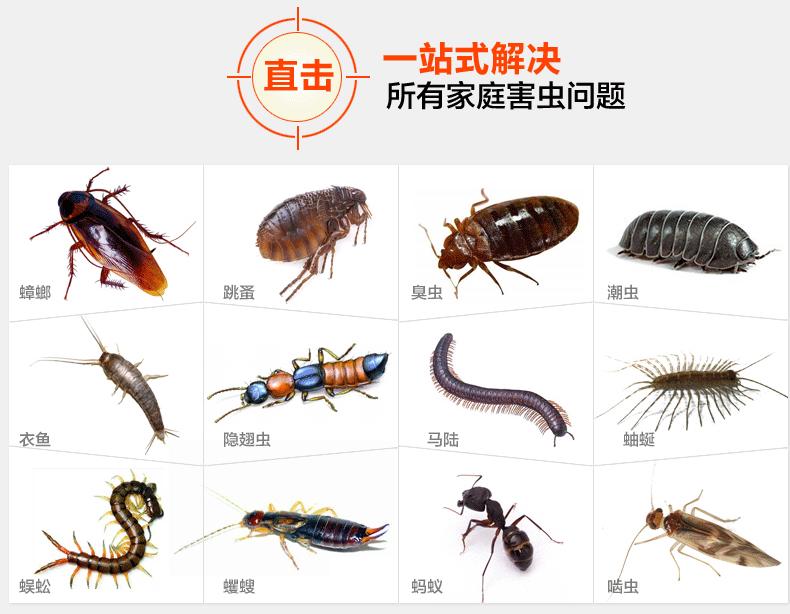 蟑螂的成長特性（xìng）介紹