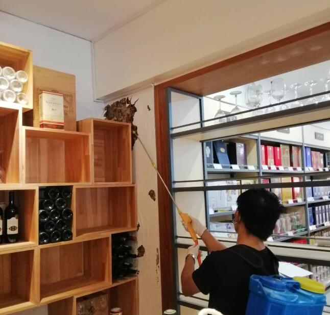 武漢哪些地方會出現白蟻