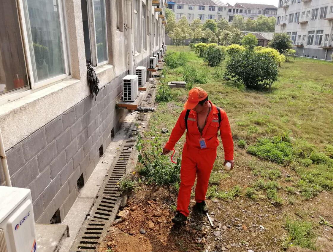 房屋白蟻預防方案